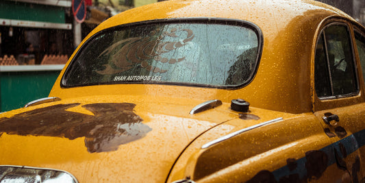 Places to Visit During this Monsoon in India