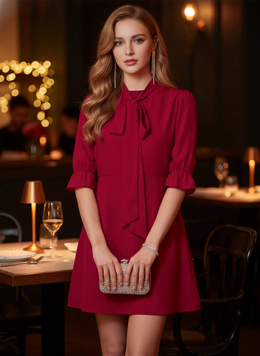 Solid Red Tie-Up Neck Puff Sleeves Semi-Sheer Fit & Flare Mini Dress
